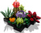 LEGO Vetplanten - Botanical Collection - 10309