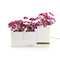 LeGrow TG-P1 - Plantenpot - Smart Garden - Oplaadstation - 1 Potje