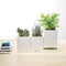 LeGrow TG-P1 - Plantenpot - Smart Garden - Oplaadstation - 1 Potje