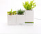 LeGrow TG-P3 - Plantenpot - Smart Garden - Oplaadstation - 3 Potjes