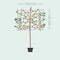 Lei amberboom 150 cm | Liquidambar styraciflua 'Worplesdon' 6-10 cm 150 cm| Bomenbezorgd.nl