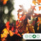 Lei amberboom 150 cm | Liquidambar styraciflua 'Worplesdon' 6-10 cm 150 cm| Bomenbezorgd.nl