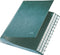 Leitz - Bureaumap - Karton - 31 Scheidingsbladen