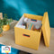 Leitz Click & Store Grote Opbergdoos - 80% Gerecycled Karton - 32 x 31 x 36 Cm (BxHxD) - Opvouwbare Opbergdoos met Deksel - Warm Geel