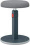 Leitz Ergo Cosy Actieve Ergonomische Zit/Sta Kruk - Ideaal voor Thuiskantoor - Fluweel Grijs