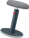 Leitz Ergo Cosy Actieve Ergonomische Zit/Sta Kruk - Ideaal voor Thuiskantoor - Fluweel Grijs