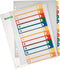 Leitz PC Printbare Index - PP - A4+ - 12 tabs