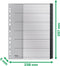 Leitz Recycle Tabbladen PP A4 - Extra Breed - 1-31 Numerieke Tabbladen - Zwart