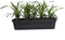 Leliegras in ELHO ® Green Basics balkonbak (Living Black) met metalen balkonrek ↨ 30cm - hoge kwaliteit planten