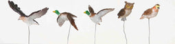 Lemax - Set van 5 Assorted Birds
