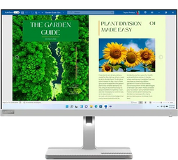 Lenovo L24m-40 Grijs