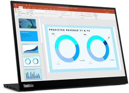 Lenovo ThinkVision M14d (63AAUAT6WL) Zwart