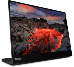 Lenovo ThinkVision M14t Gen2 (63FDUAT6WL) Zwart
