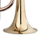Levante Bb Cornet LV-CR5205