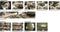 LevelOne FCS-3091 bewakingscamera Dome IP-beveiligingscamera 1600 x 1200 Pixels Plafond