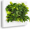 Levende Plantenschilderij LivePicture 2 Wit 112 x 72 x 7 cm excl. planten