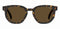 LEVI'SSEASONAL Zonnebril (LV1022/S) Volwassenen Bruin Volledig omrand