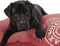 Lex & Max Visgraat - Losse hoes voor hondenkussen - Rechthoek - Rood - 100x70cm