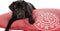 Lex & Max Visgraat - Losse hoes voor hondenkussen - Rechthoek - Rood - 100x70cm