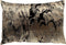 Dutch Decor Sierkussen Heather - Velvet - Zwart/Goud - 40x60 cm (BxD) - Polyester - Kleur Raven