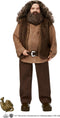 Harry Potter Hagrid Pop - Speelfiguur