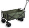 909 Bolderkar - Opvouwbaar - Max laadvermogen 80 KG - 100x57x99cm - Groen
