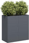 vidaXL - Plantenbak - 80x40x80 - cm - koudgewalst - staal - antracietkleurig