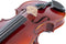 GEWA Viool Maestro 2-VL4 - 4/4