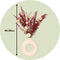 Plant in a Box - Boeket 'Loose Fit Lady Bird' - Droogbloemen - hoogte 50cm