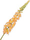 Silk-ka Kunstbloem-Zijden Bloem Eremurus Steel Geel 107 cm