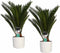Decorum Duo Cycas Revoluta met Elho b.for white – ↨ 55cm – ⌀ 14cm