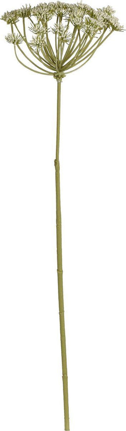 PTMD Garden Bloem Queen Anne's Kunstbloem - 12 x 12 x 75 cm - Groen