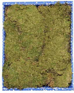 Kerststal Mos plat 425 gr.