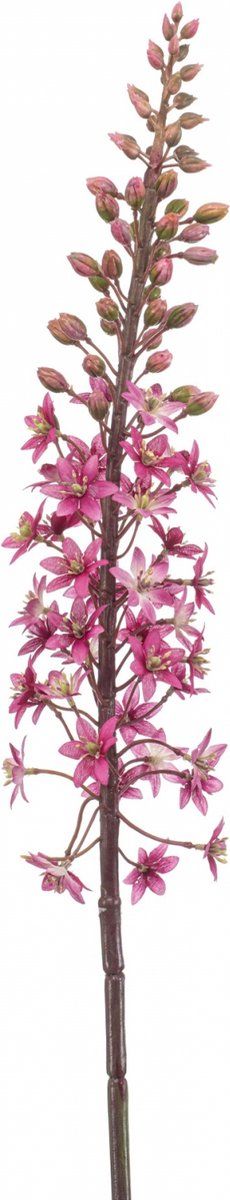 Fleurdirect Kunstbloem Eremurus - Polyester - Roze - 0 x 95 x 0 cm (BxHxD)