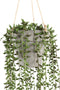 PTMD Senecio Succulent Hangende Kunstplant - H80 x Ø17 cm - Groen