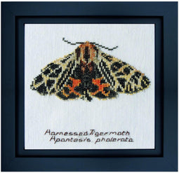 Thea Gouverneur - Borduurpakket met telpatroon - 569A - Voorgesorteerde DMC Garens - Beervlinder - Aida - 21 cm x 21 cm - DIY Kit