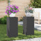 vidaXL - Buitenplantenstandaarden - Pilar - 2 - stuks - Zwart - 24x24x55 - cm - Staal