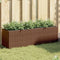 vidaXL - Plantenbak - met - 3 - potten - 105x30x32 - cm - poly - rattan - bruin