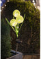 Lichtdecoratie - GALIX - G4510 - Zonne-energie: Bloemen