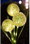 Lichtdecoratie - GALIX - G4510 - Zonne-energie: Bloemen