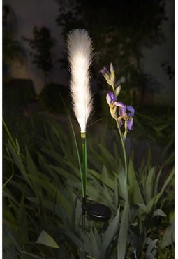Lichtdecoratie - GALIX - G4515 - Zonne-energie: Plumeau