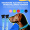 Lichtgevende Halsband Hond - Extra Sterk - XS 28 cm tot 38 cm - Hondenhalsband - Klikhalsband - Verstelbaar - Reflecterend