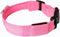 Lichtgevende Halsband LED Maat S 34 - 41 cm USB Oplaadbaar Hondenhalsband Puppy Riem - Zwart Hond Dog Kat Kitten Cat - Dutchwide