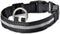 Lichtgevende Halsband LED Maat S 34 - 41 cm USB Oplaadbaar Hondenhalsband Puppy Riem - Zwart Hond Dog Kat Kitten Cat - Dutchwide