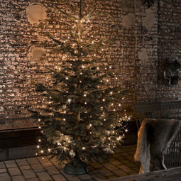 Lichtmantel voor binnen en buiten - 240 LEDs - 2.4 meter - Kerstboomverlichting - Twinkelend