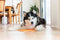 Lickimat Buddy - Voermat - Slow feeder - 20 cm - Oranje