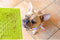 Lickimat Buddy - voermat voor natvoer en brokjes - slow feeder