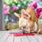 Lickimat Slomo - slowfeeder voor kat en kleine hond - tegen schrokken - rood