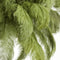 Light & Living Hanglamp Feather - Groen - Ø80cm - Landelijk - Hanglampen Eetkamer, Slaapkamer, Woonkamer