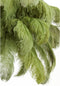 Light & Living Hanglamp Feather - Groen - Ø80cm - Landelijk - Hanglampen Eetkamer, Slaapkamer, Woonkamer